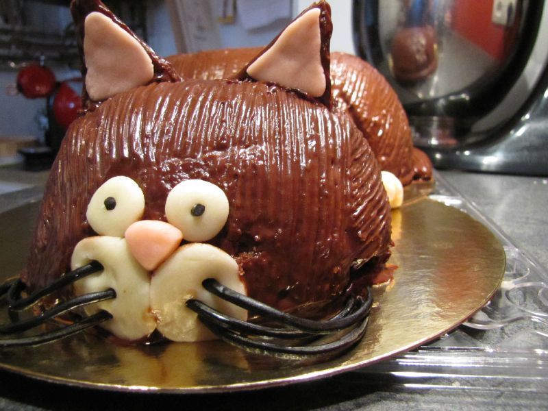 Gateau Chat En 3d Eva Cuisine