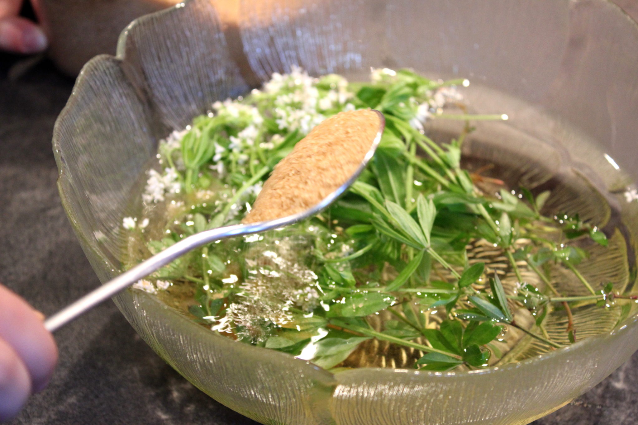 Vin d’aspérule (Mai bowle ou Waldmeister) – Eva Cuisine