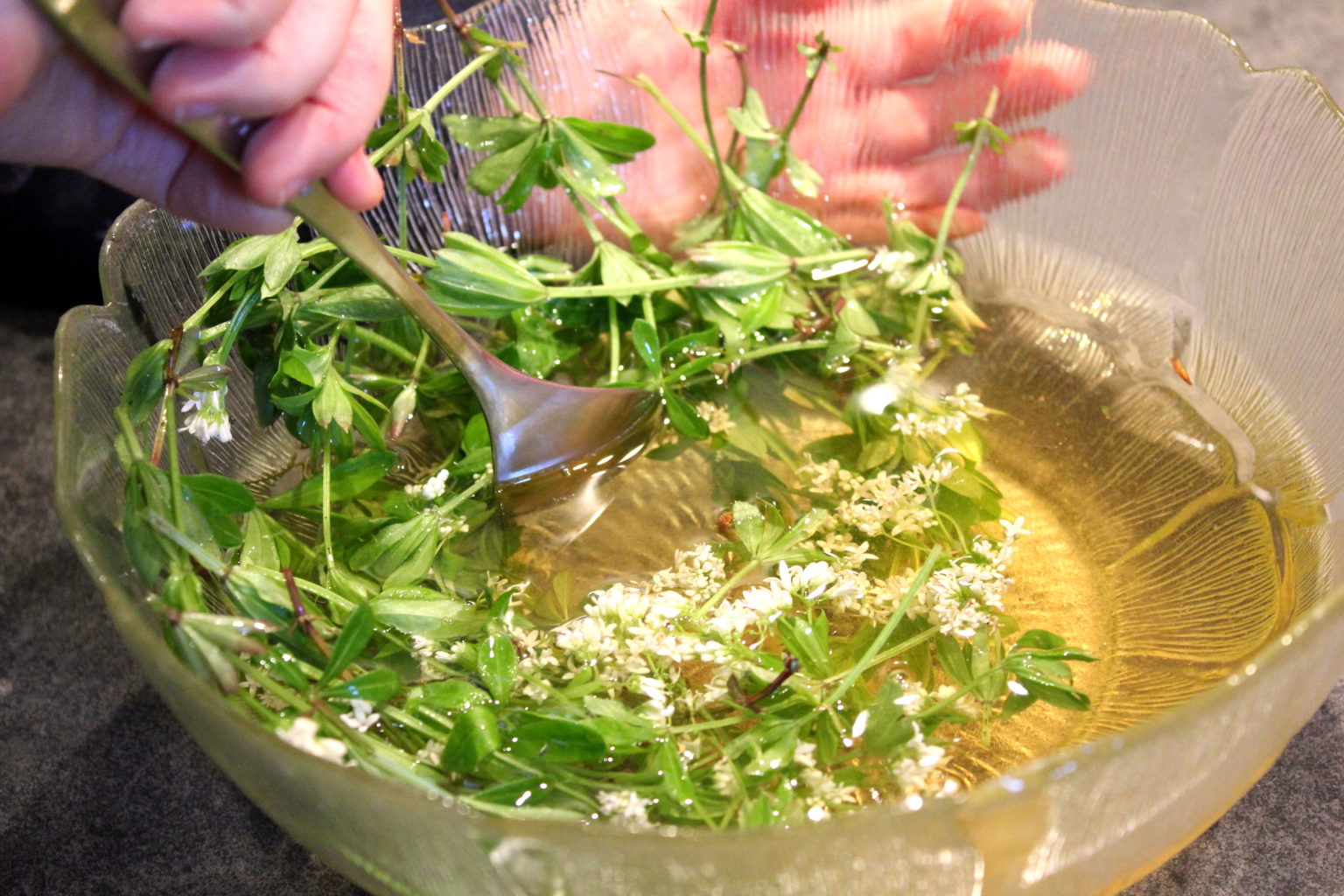 Vin d’aspérule (Mai bowle ou Waldmeister) – Eva Cuisine